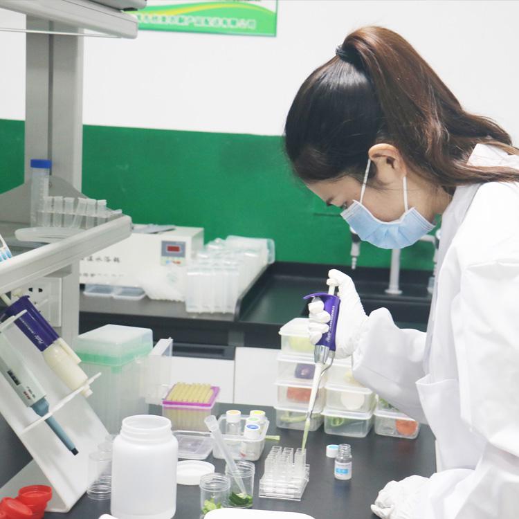 食品安全檢測(cè)04