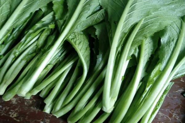 1760090161.jpg tupian_chuncai3.jpg