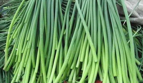 1760174106.jpg tupian_suantai5.jpg