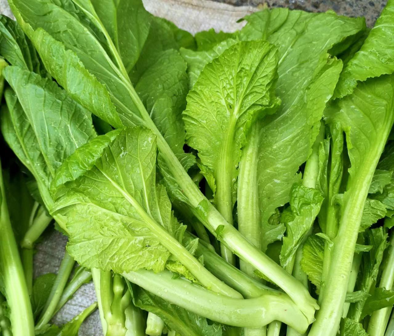 深圳蔬菜配送公司科普：為什么冷凍蔬菜不宜反復(fù)解凍冷凍？