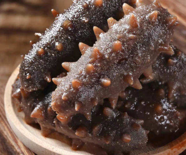 海參為什么是海底的軟黃金？