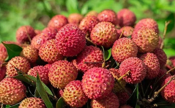 荔枝：不止是美味，更是營(yíng)養(yǎng)小寶庫(kù)