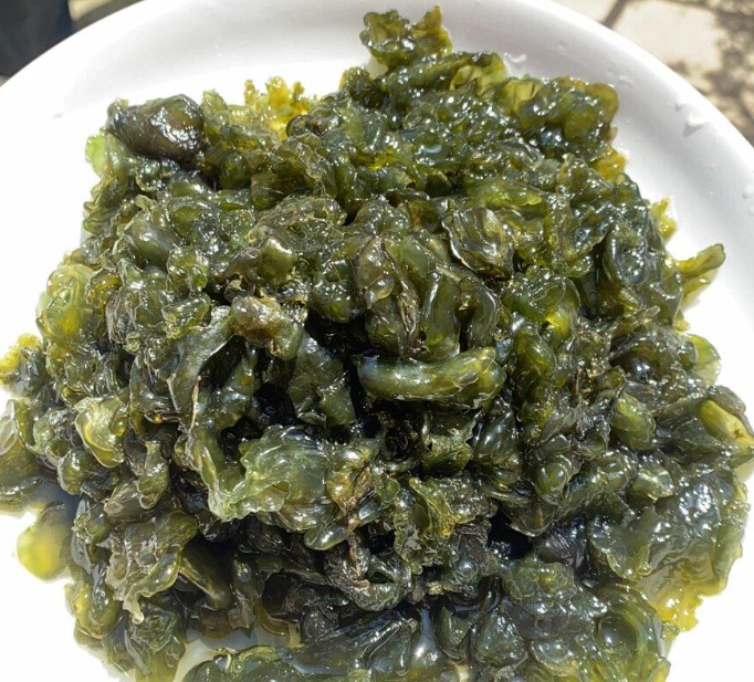 地皮菜：雨后才有的特產(chǎn)，吃的是山野的饋贈(zèng)